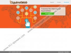 Squirrel Web