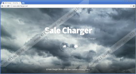Sale Charger