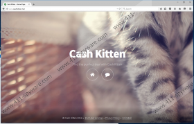 Cash Kitten