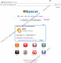 Info.ibyscus.com