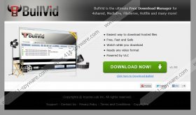 BullVid Download Manager