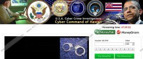 USA Cyber Crime Investigations Virus