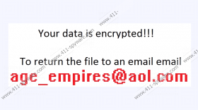 Age_empires@india.com Ransomware