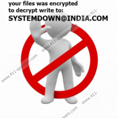 Systemdown@india.com Ransomware