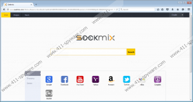 Seekmix.com